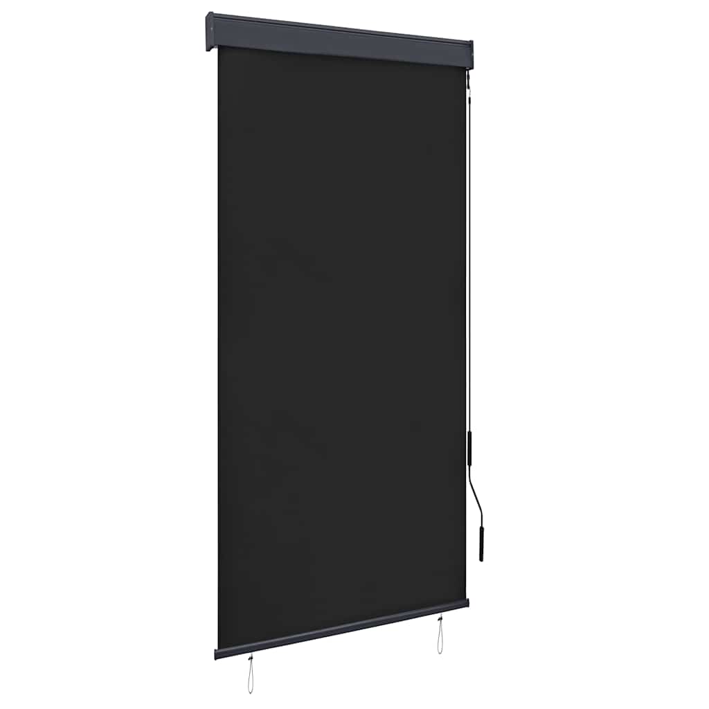 Outdoor Roller Blind 100x250 cm Anthracite
