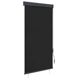 Outdoor Roller Blind 100x250 cm Anthracite