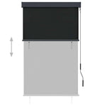 Outdoor Roller Blind 100x250 cm Anthracite