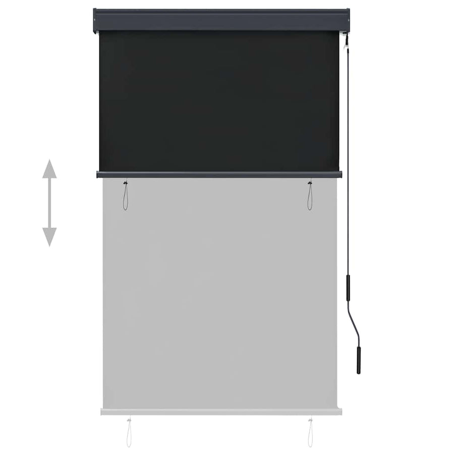 Outdoor Roller Blind 100x250 cm Anthracite