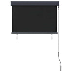 Outdoor Roller Blind 100x250 cm Anthracite