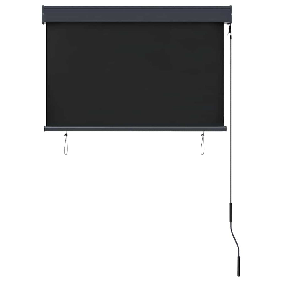Outdoor Roller Blind 100x250 cm Anthracite
