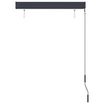 Outdoor Roller Blind 100x250 cm Anthracite