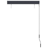 Outdoor Roller Blind 100x250 cm Anthracite - 45-Degree Angle