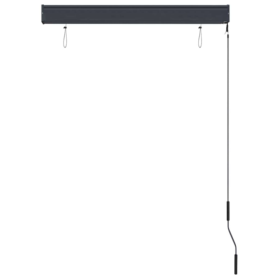 Outdoor Roller Blind 100x250 cm Anthracite