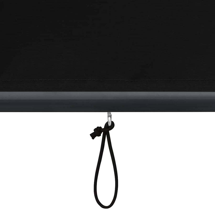 Outdoor Roller Blind 100x250 cm Anthracite