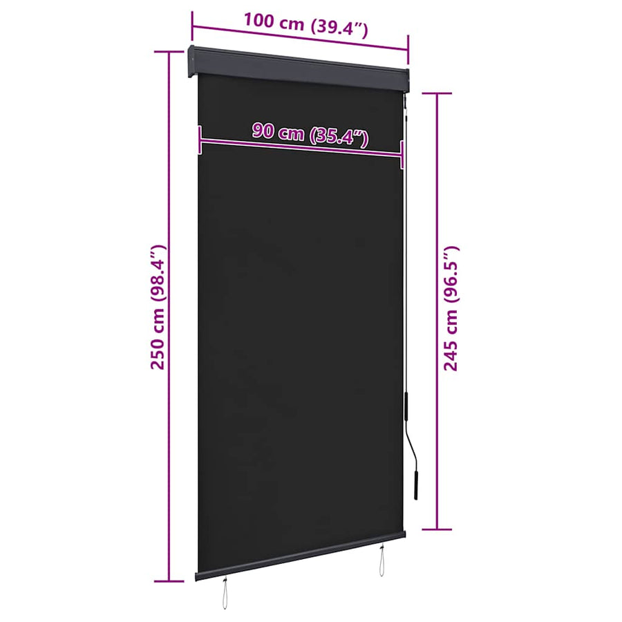 Outdoor Roller Blind 100x250 cm Anthracite