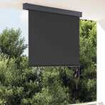 Outdoor Roller Blind 120x250 cm Anthracite
