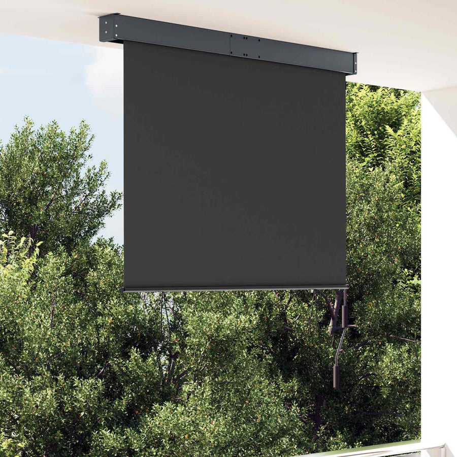 Outdoor Roller Blind 120x250 cm Anthracite