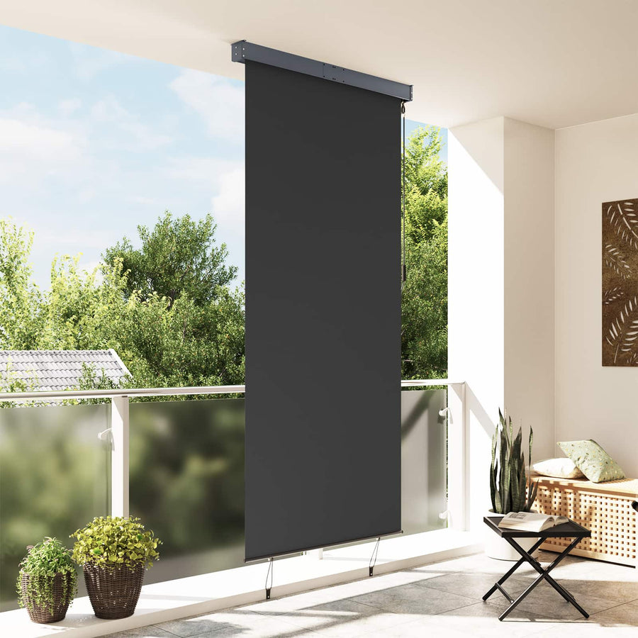 Outdoor Roller Blind 120x250 cm Anthracite