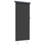 Outdoor Roller Blind 120x250 cm Anthracite