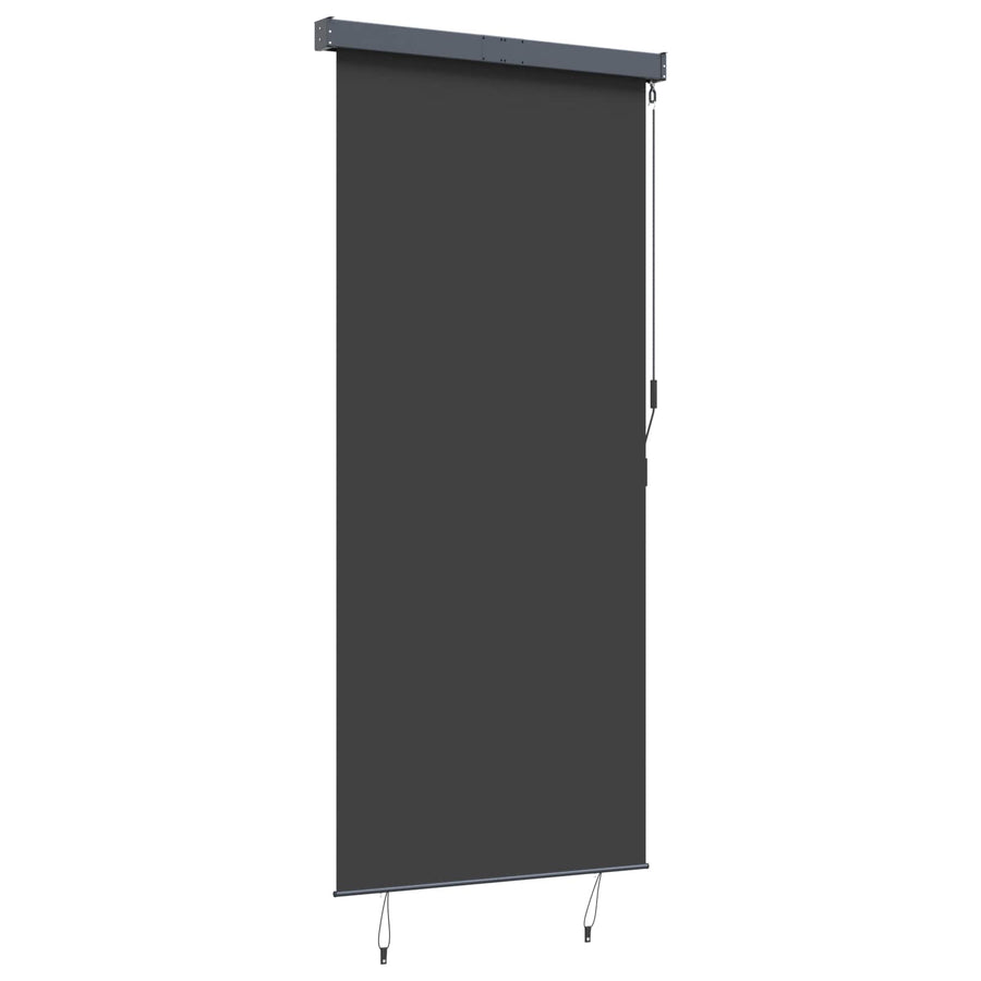 Outdoor Roller Blind 120x250 cm Anthracite