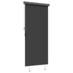 Outdoor Roller Blind 120x250 cm Anthracite