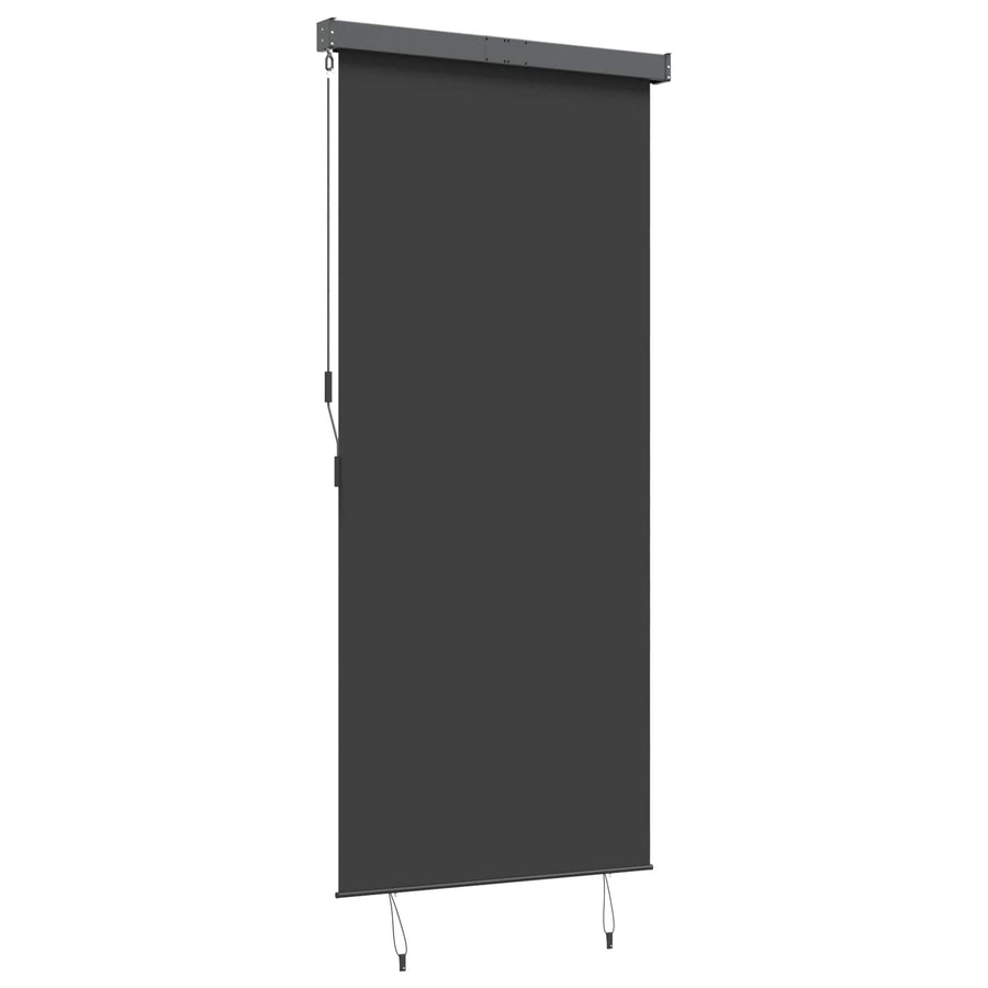 Outdoor Roller Blind 120x250 cm Anthracite