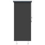 Outdoor Roller Blind 120x250 cm Anthracite
