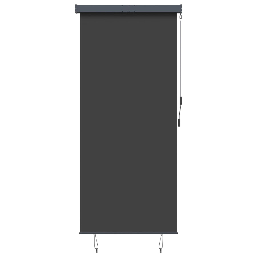 Outdoor Roller Blind 120x250 cm Anthracite
