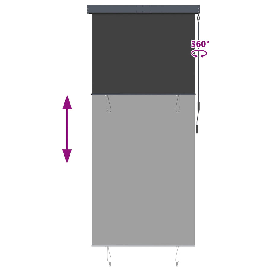 Outdoor Roller Blind 120x250 cm Anthracite