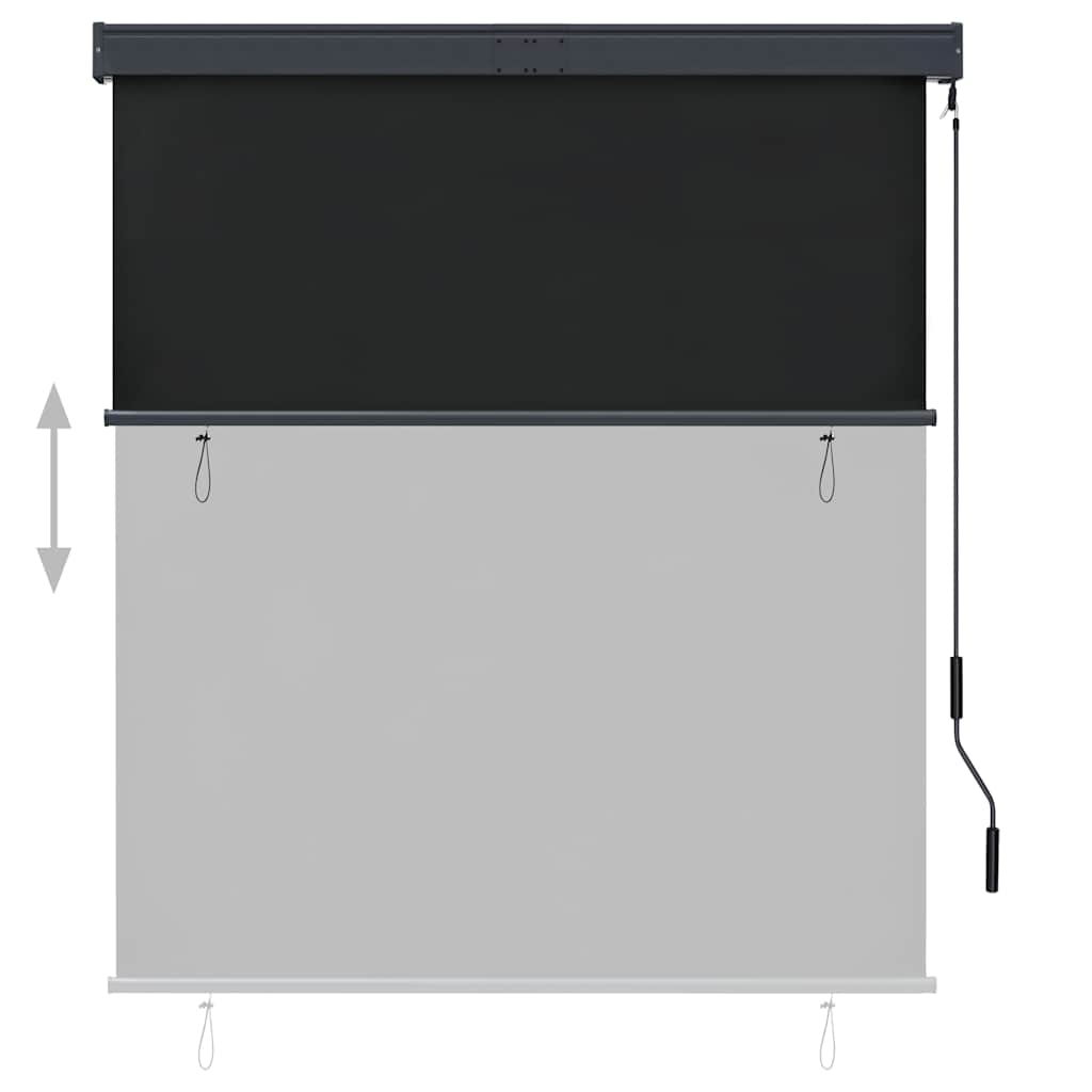 Outdoor Roller Blind 140x250 cm Anthracite