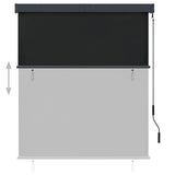 Outdoor Roller Blind 140x250 cm Anthracite