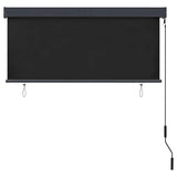 Outdoor Roller Blind 140x250 cm Anthracite