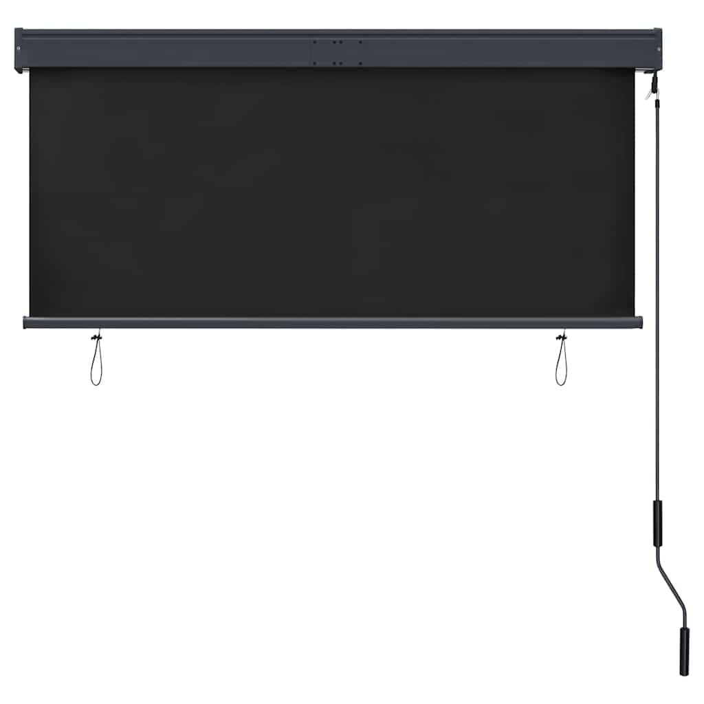 Outdoor Roller Blind 140x250 cm Anthracite
