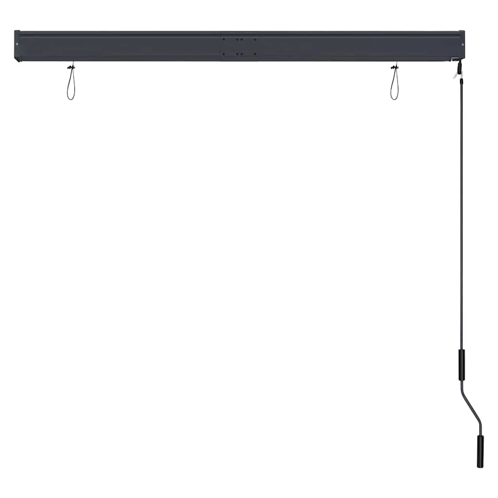 Outdoor Roller Blind 140x250 cm Anthracite