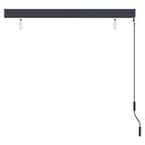 Outdoor Roller Blind 140x250 cm Anthracite