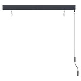 Outdoor Roller Blind 140x250 cm Anthracite - 45-Degree Angle