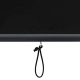 Outdoor Roller Blind 140x250 cm Anthracite