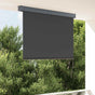Outdoor Roller Blind 140x250 cm Anthracite