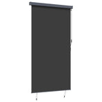 Outdoor Roller Blind 140x250 cm Anthracite