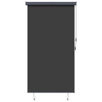 Outdoor Roller Blind 140x250 cm Anthracite