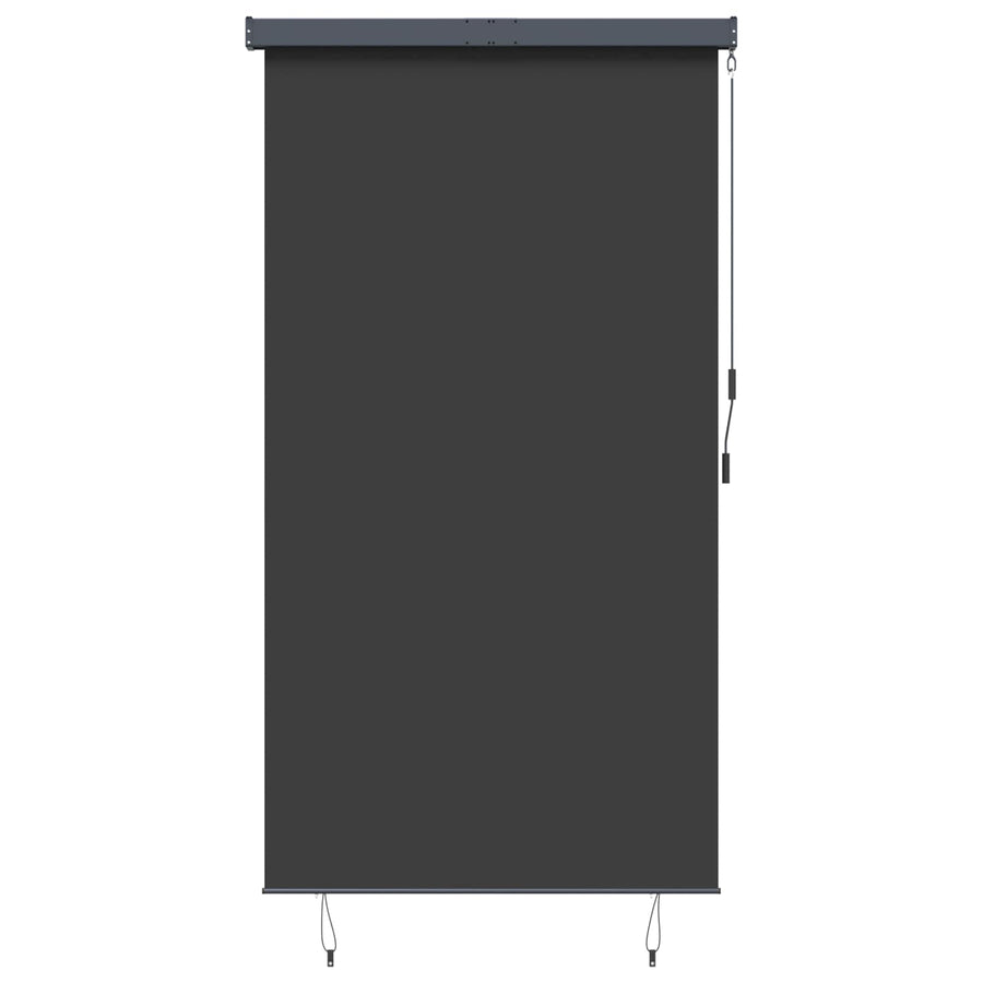 Outdoor Roller Blind 140x250 cm Anthracite