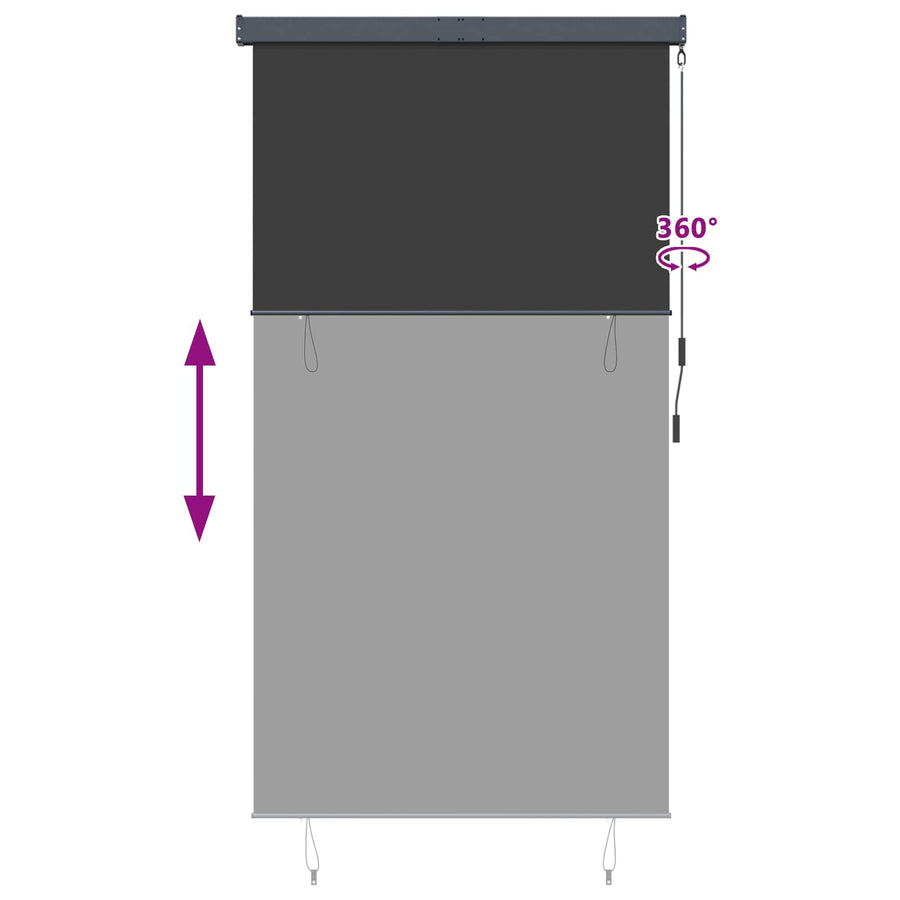 Outdoor Roller Blind 140x250 cm Anthracite