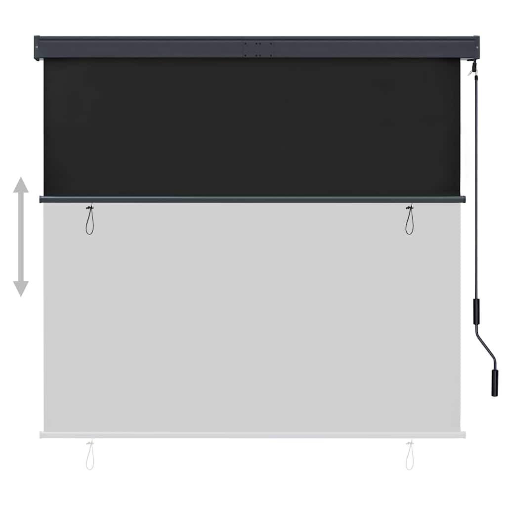 Outdoor Roller Blind 160x250 cm Anthracite