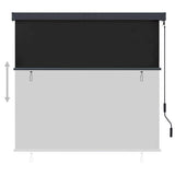 Outdoor Roller Blind 160x250 cm Anthracite