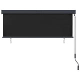 Outdoor Roller Blind 160x250 cm Anthracite