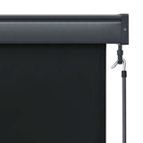 Outdoor Roller Blind 160x250 cm Anthracite