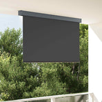 Outdoor Roller Blind 160x250 cm Anthracite
