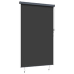 Outdoor Roller Blind 160x250 cm Anthracite