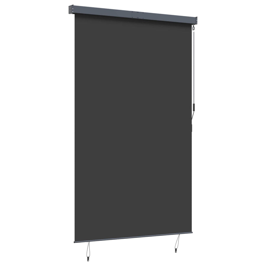 Outdoor Roller Blind 160x250 cm Anthracite