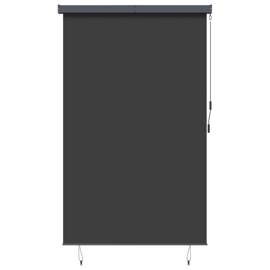 Outdoor Roller Blind 160x250 cm Anthracite