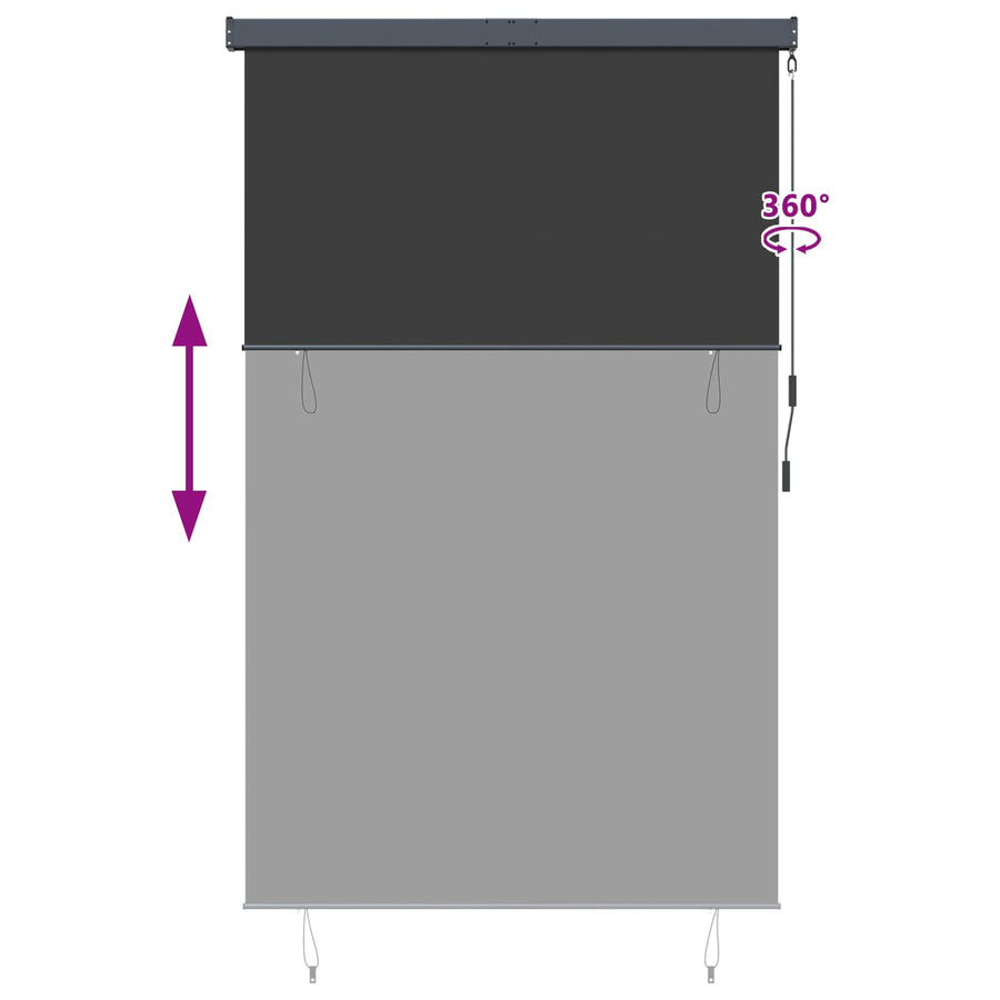 Outdoor Roller Blind 160x250 cm Anthracite