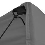 Professional Folding Party Tent with 4 Sidewalls 2x2 m Steel Anthracite - 45-Degree Angle