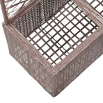 Trellis Raised Bed with 2 Pots 58x30x107 cm Poly Rattan Brown