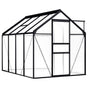 Greenhouse Anthracite Aluminium 4,75 m²