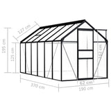 Greenhouse Anthracite Aluminium 7.03 m² - Rear View