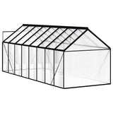 Greenhouse with Base Frame Anthracite Aluminium 9.31 m² - Rear View