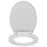 Soft-Close Toilet Seat Light Grey Oval - Top-Down View