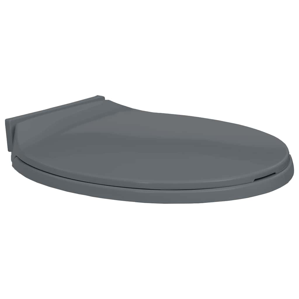 Soft-Close Toilet Seat Grey Oval